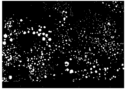 Preparation and application methods of Cu2O-AC (activated carbon) photocatalyst