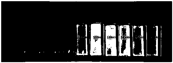 Preparation and application methods of Cu2O-AC (activated carbon) photocatalyst