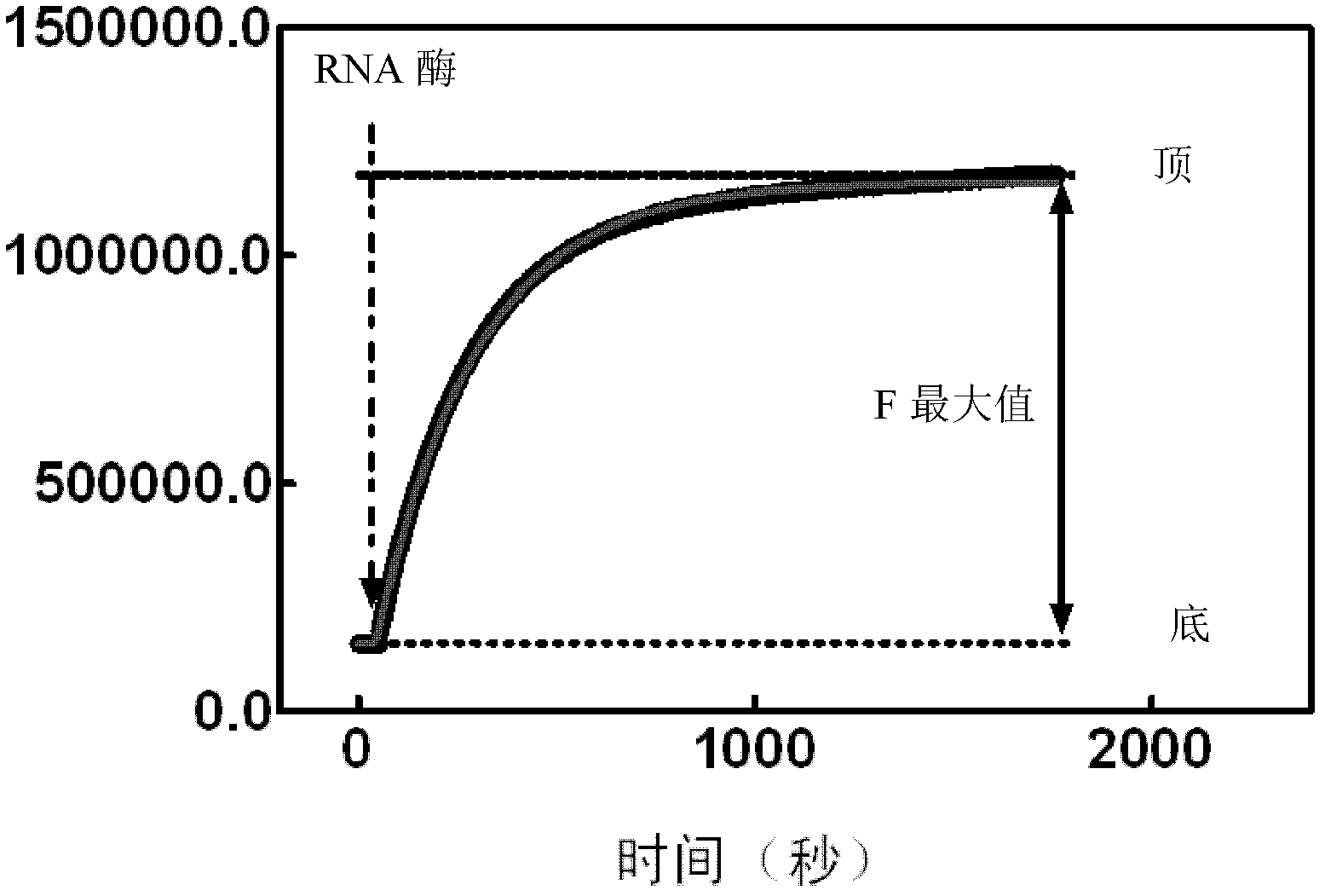 Double-stranded nucleic acid and application thereof, and ribonuclease detection method