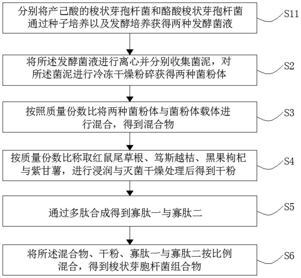 Clostridium composition with weight-losing and lipid-lowering functions and preparation method thereof