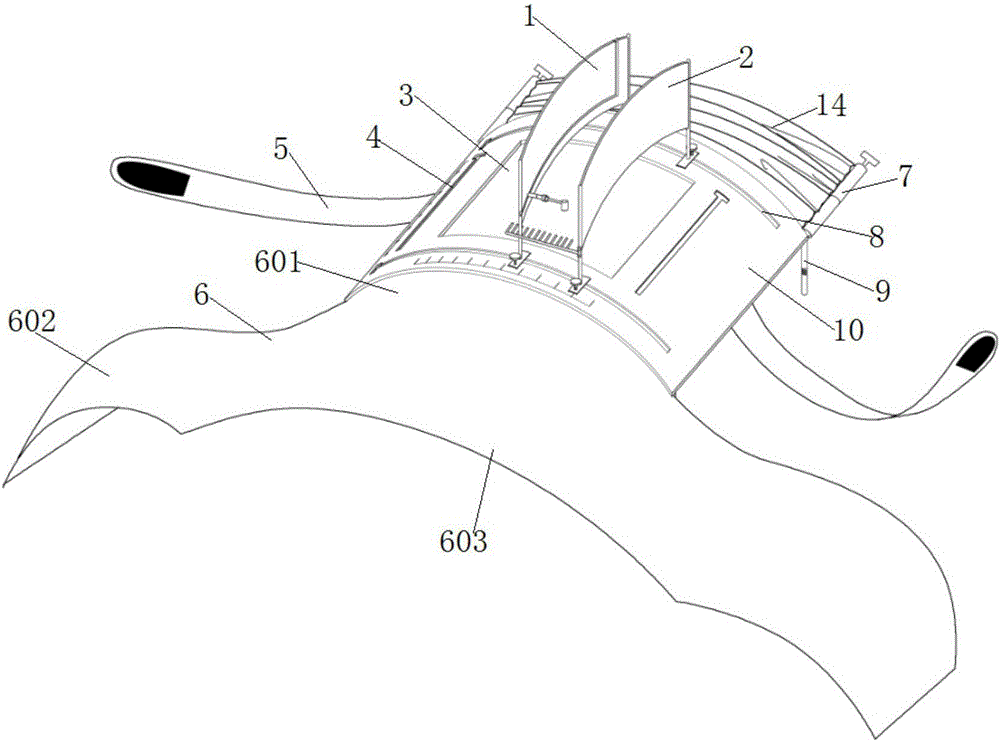 Ultrasonic fixing rack for ultrasound-guided neck nerve block and vascular puncture