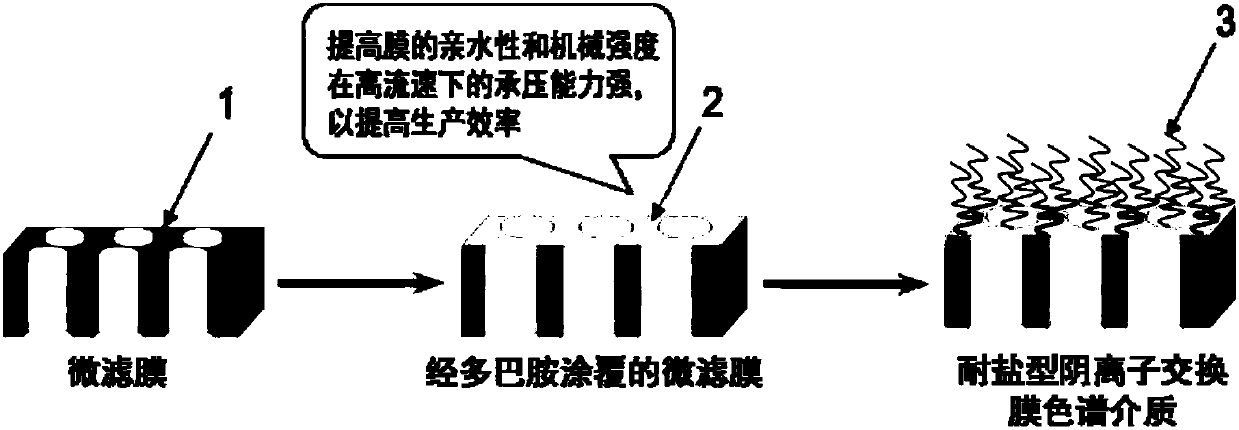 Salt tolerant anion exchange membrane chromatography medium, preparation method and uses thereof