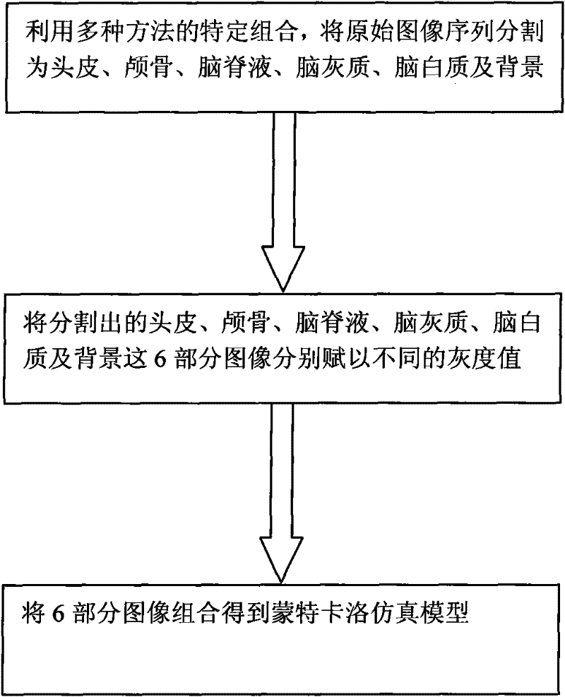 Obtaining method of rat head magnetic resonance image Monte Carlo simulation model