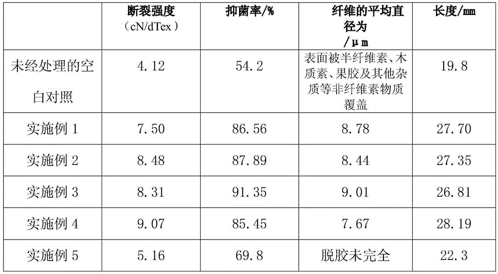 Preparation method of antibacterial environment-friendly mulberry bark fiber