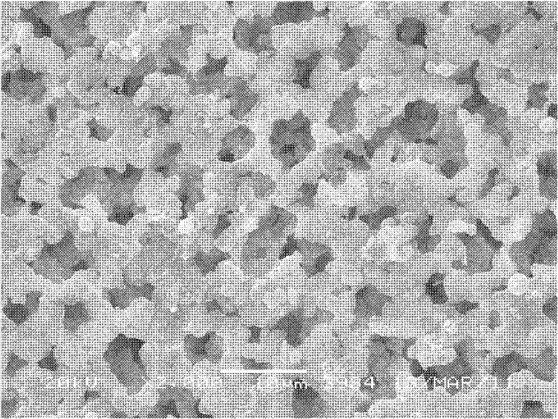 Method for preparing ionic liquid plasticized composite polymer electrolyte for lithium ion battery