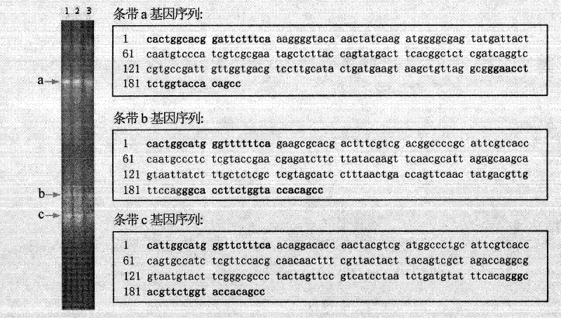 Analytical method for bioenzyme gene diversity in compost