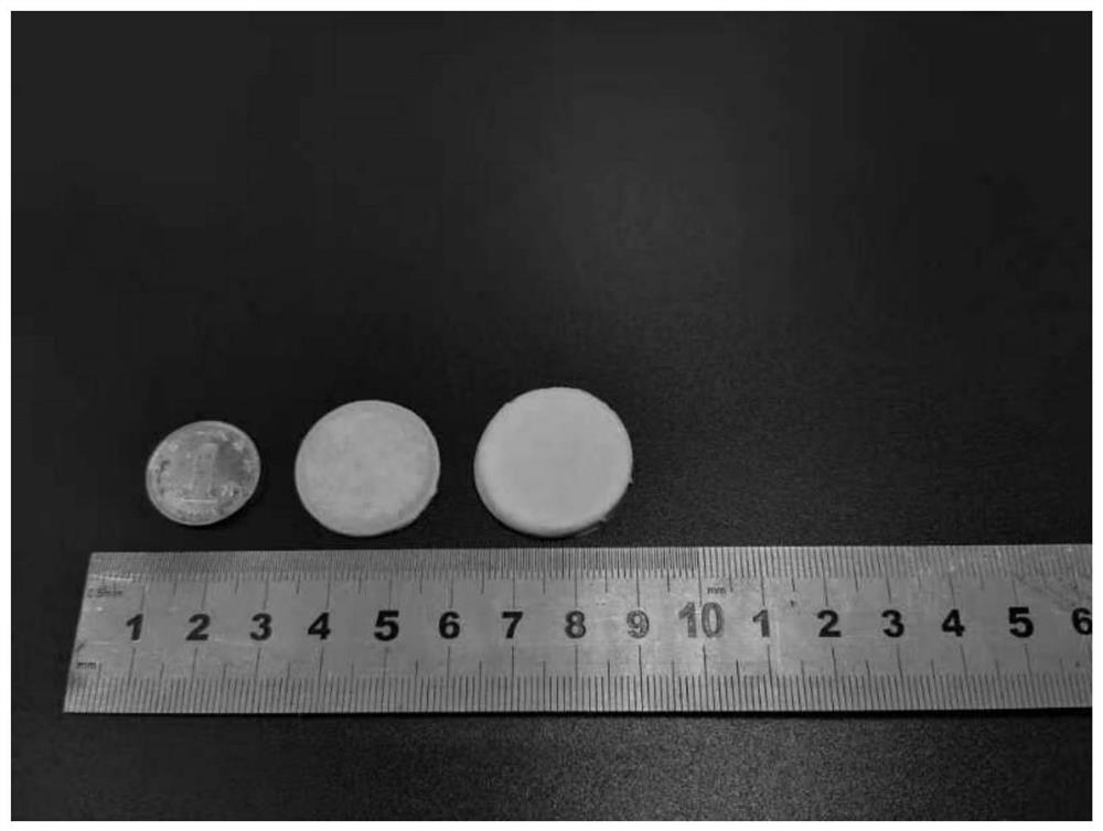 A through sls with scfco  <sub>2</sub> Combined method for preparing polymer-based piezoelectric foam parts