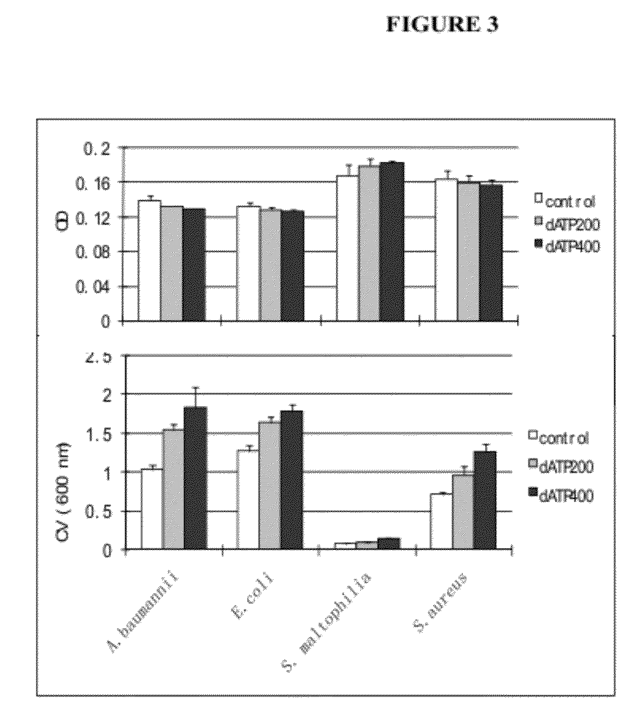 Control of biofilm formation