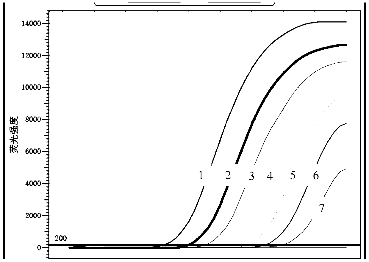 Primers, probe group, kit and detecting method for duplex detecting of Gardner's bacillus and trichomonas vaginalis