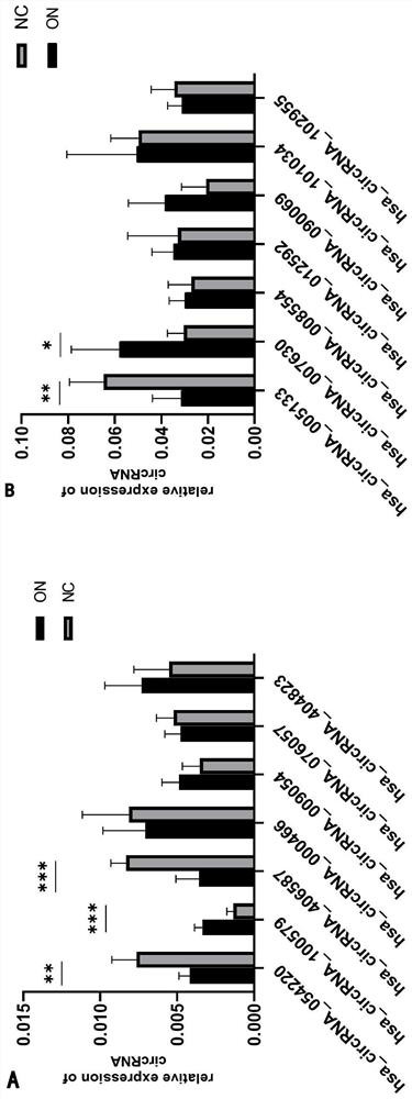 Diagnosis molecular marker circRNA, kit and application of idiopathic optic neuritis