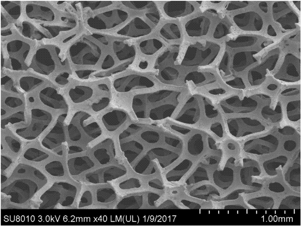 Porous metal material having lipophilicity and hydrophobicity and preparation method of same