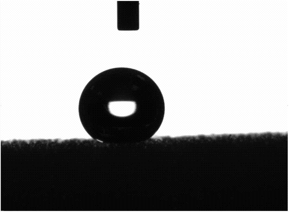 Porous metal material having lipophilicity and hydrophobicity and preparation method of same