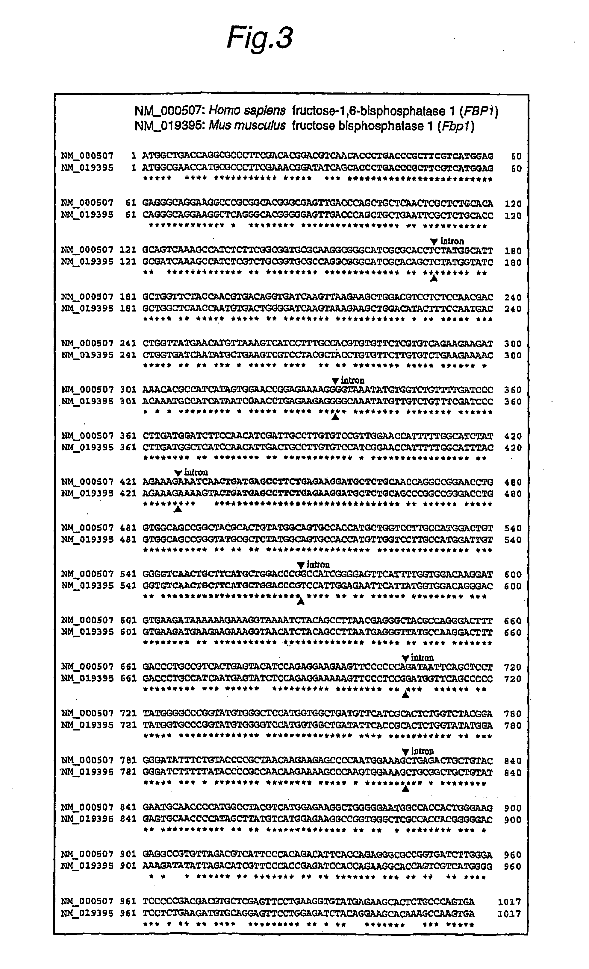 Method of detecting target base sequence of rna interference, method of designing polynucleotide base sequence causing rna interference, method of constructing double-stranded polynucleotide, method of regulating gene expression, base sequence processing apparatus, program for running base sequence processing method on comp