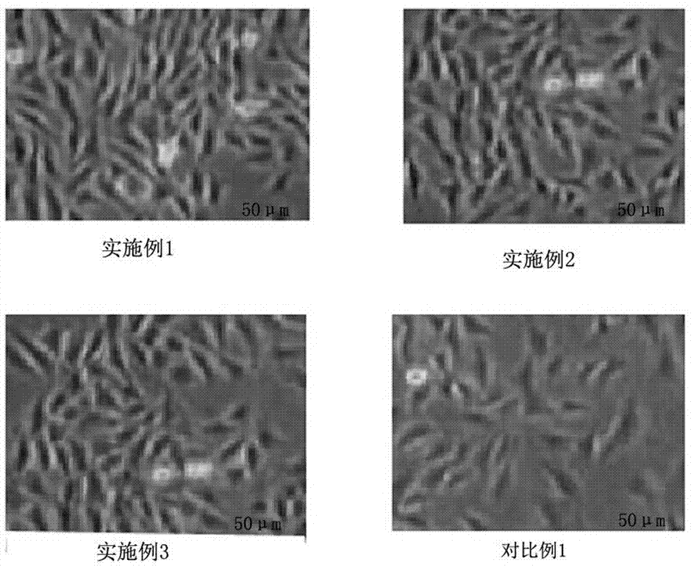 A kind of method of c2c12 myoblast differentiation culture