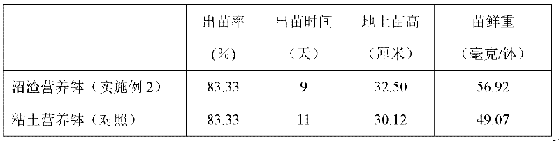 Biogas residue humus pot, and preparation method and application of biogas residue humus pot