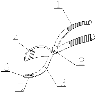 Scalp separating cutter