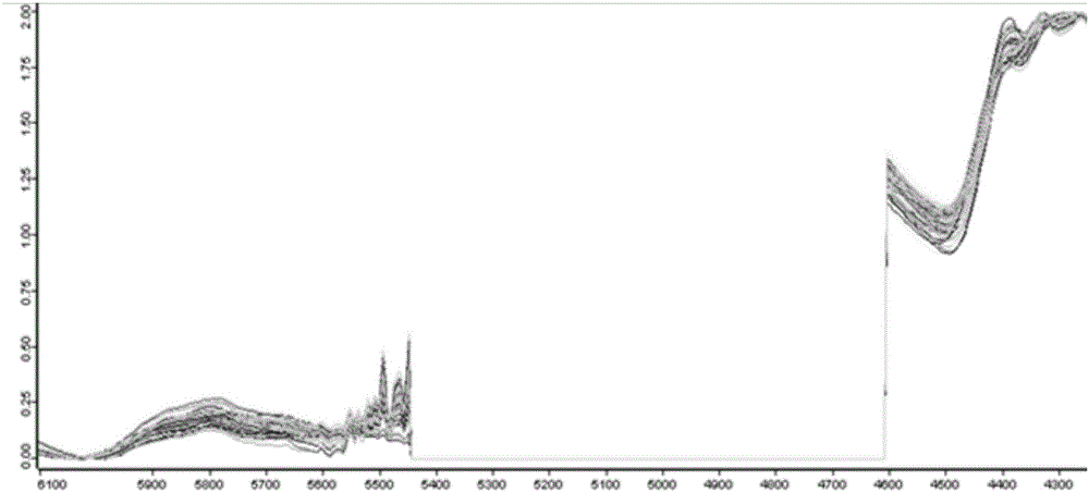 Method for measuring content of soluble sugar in lolium multiflorum