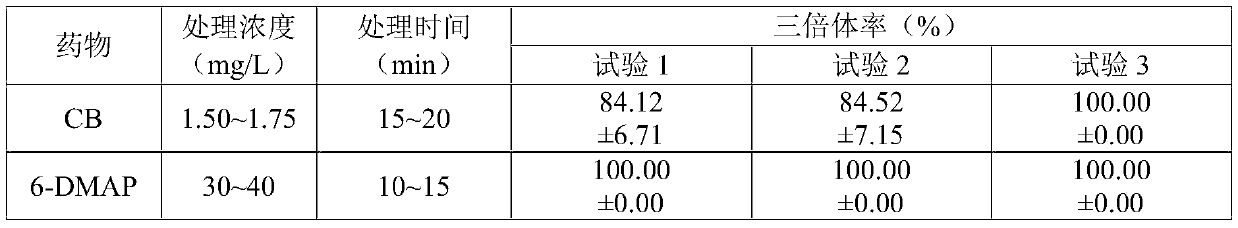 Method for chemically inducing abalone allotriploid