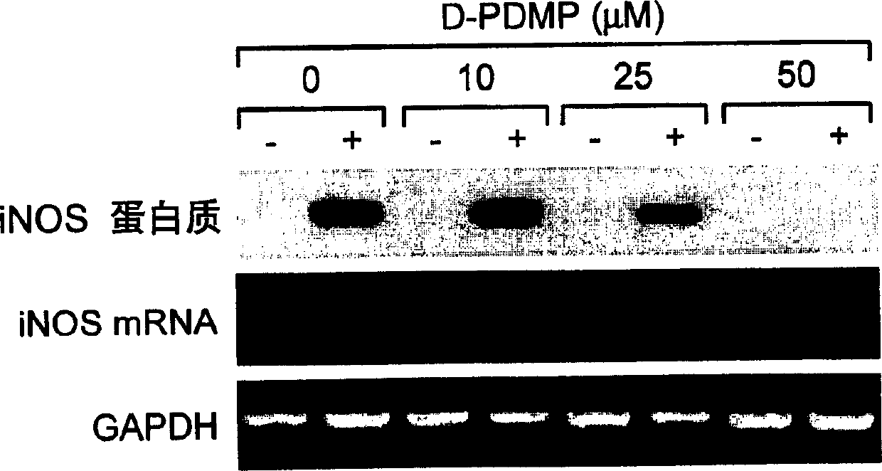 Methods and compositions for the prevention and treatment of inflammatory diseases or conditions