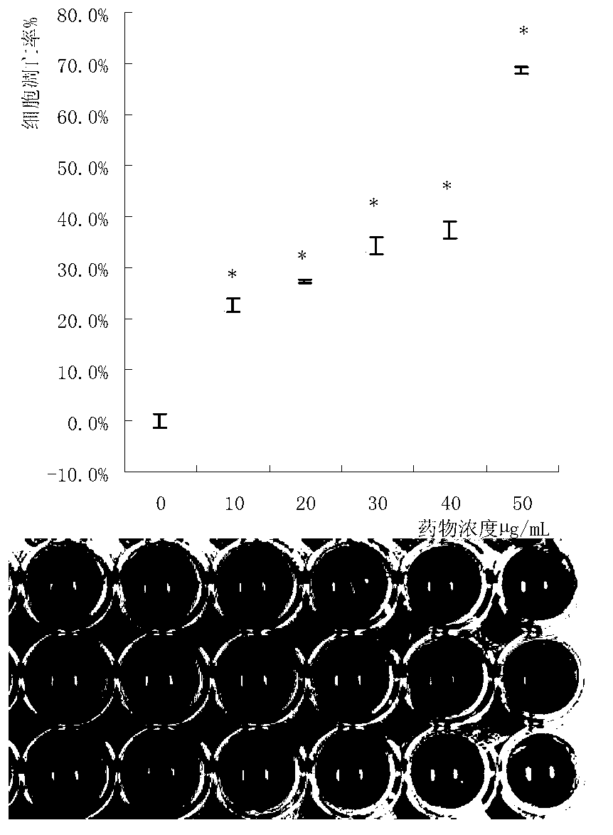 Method for preparing edible fungus protein extract with antitumor efficacy