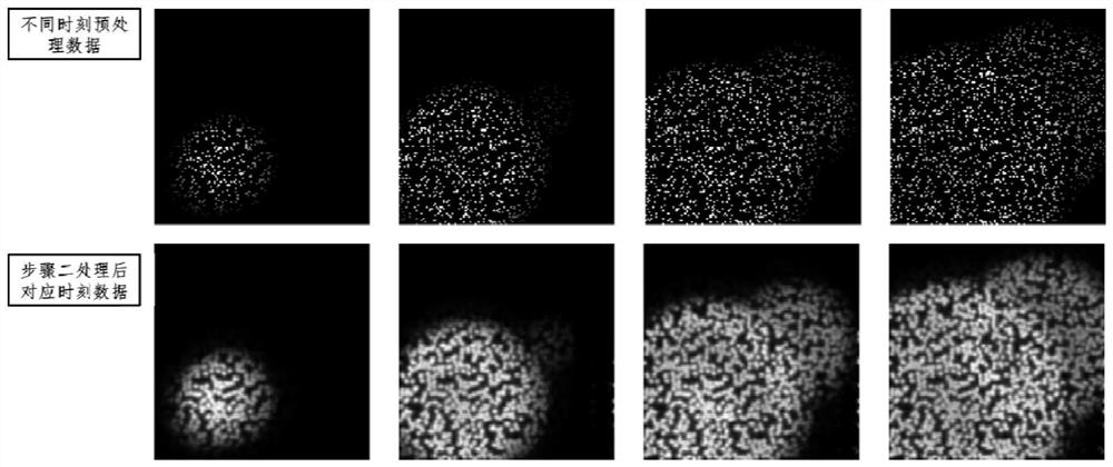 Non-visual-field single-input multiple-output three-dimensional reconstruction method for non-uniform fast Fourier transform