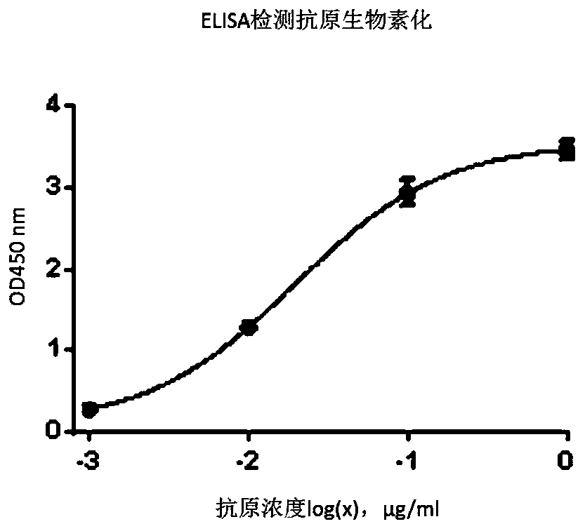 Anticancer embryo antigen antibody as well as preparation method and application thereof