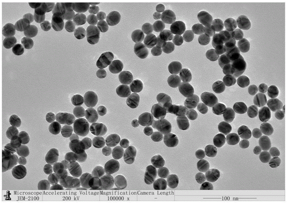 Method for detecting nucleic acid or cells based on enzymatic cycle amplification and nano-particle reinforced SPR (surface plasmon resonance)