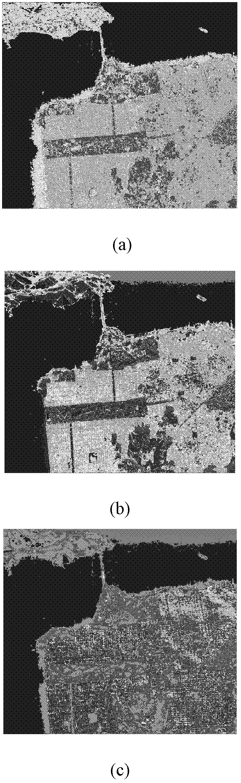 Freeman decomposition and homo-polarization rate-based polarized synthetic aperture radar (SAR) image classification method