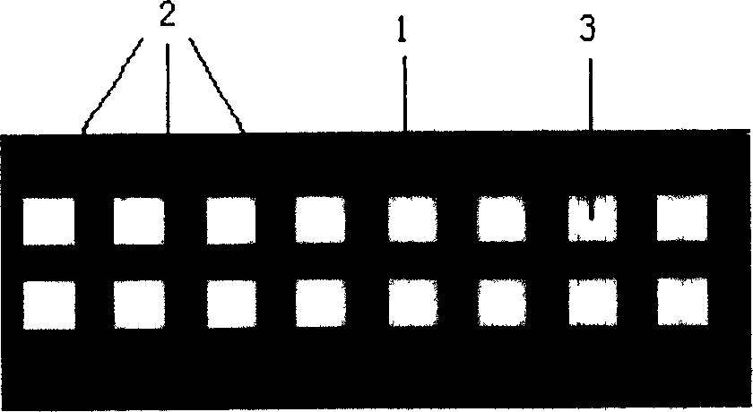 Biological chip with minimized reactor isolation structure height and its preparation method