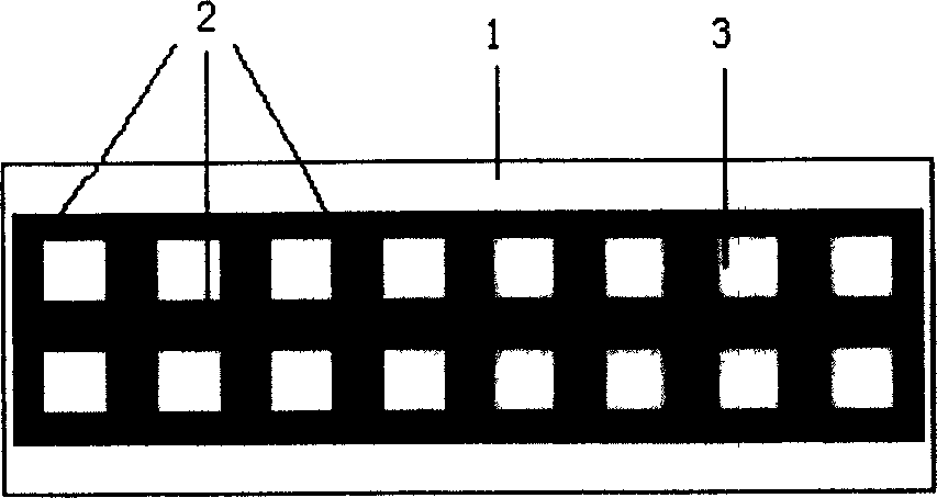 Biological chip with minimized reactor isolation structure height and its preparation method