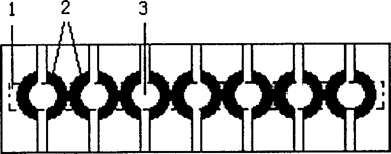 Biological chip with minimized reactor isolation structure height and its preparation method