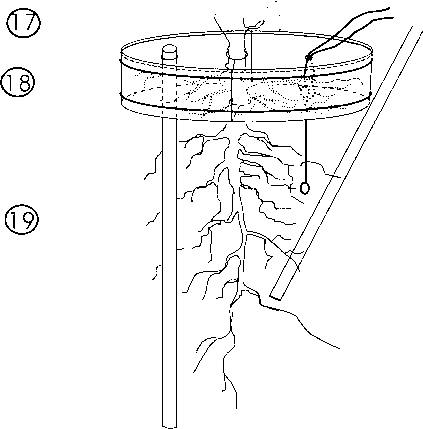 Monitoring device for hydraulic lift of plant root