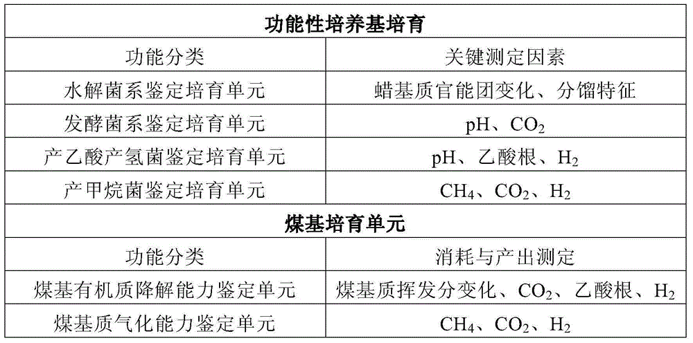 Rapid determination method for coal-bed methanogen flora current activity and flora balance characteristic