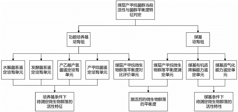 Rapid determination method for coal-bed methanogen flora current activity and flora balance characteristic