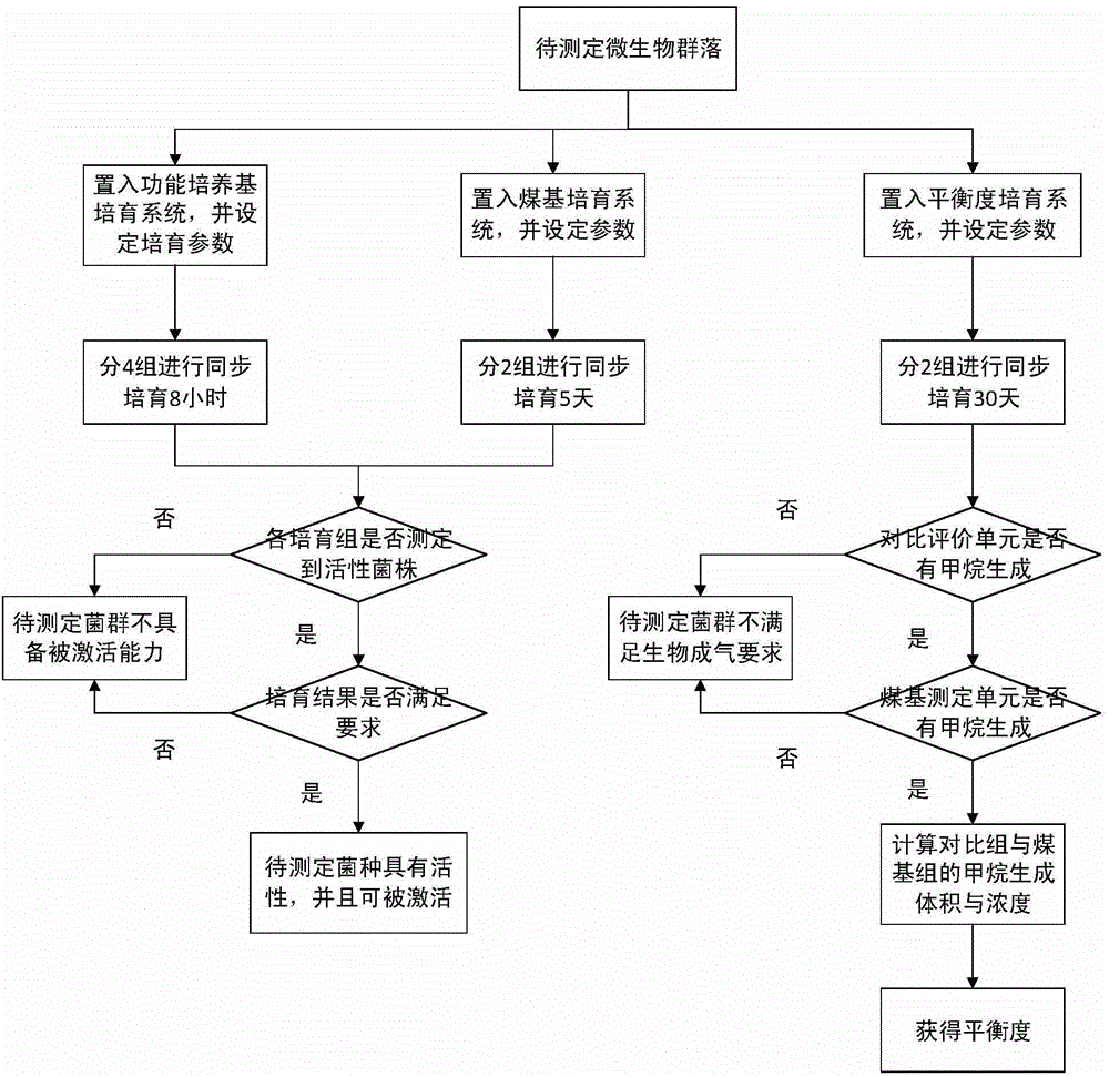 Rapid determination method for coal-bed methanogen flora current activity and flora balance characteristic