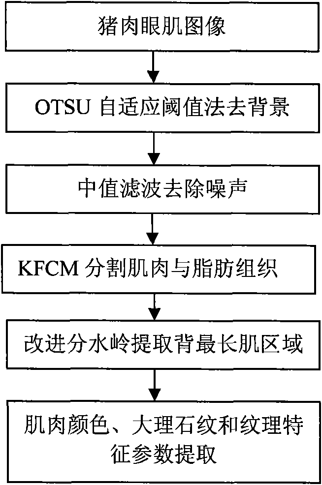 Machine vision-based real-time detection and grading method and machine vision-based real-time detection and grading device for pork appearance quality