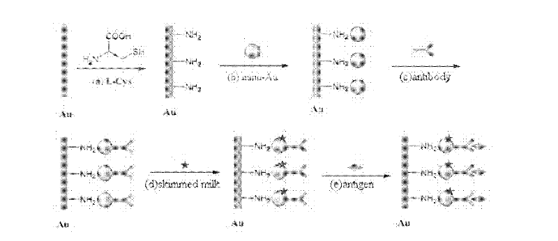 Immunosensor for detecting aspergillus parasiticus used for producing aflatoxin and preparing method thereof