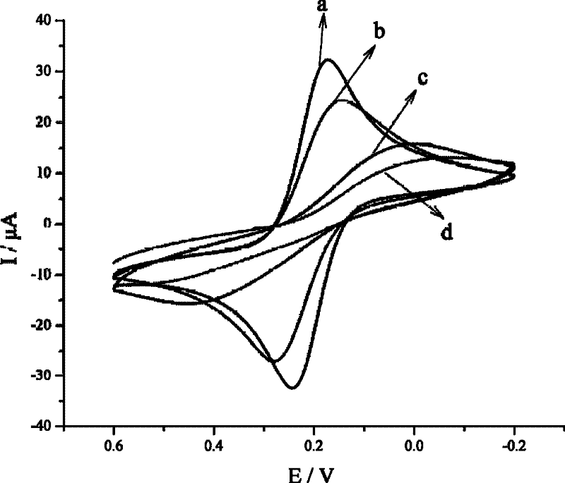 Immunosensor for detecting aspergillus parasiticus used for producing aflatoxin and preparing method thereof