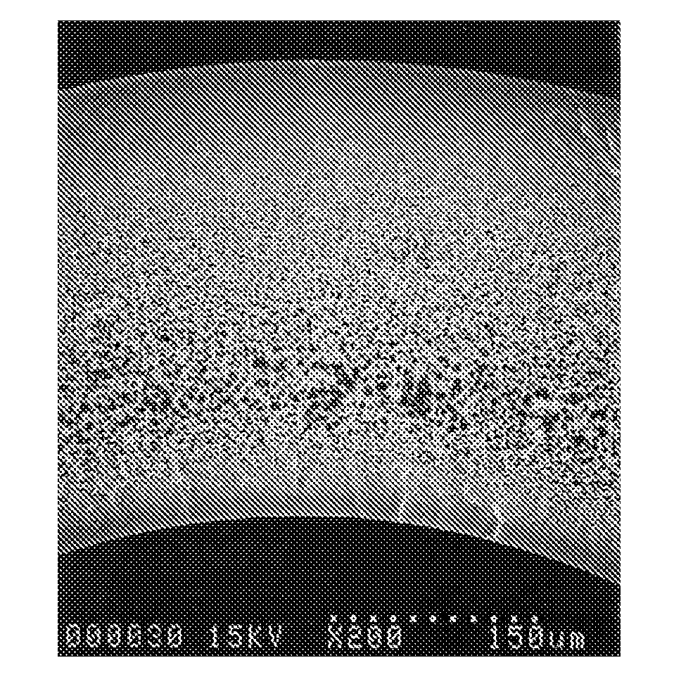 Hollow fiber membrane for treating liquids