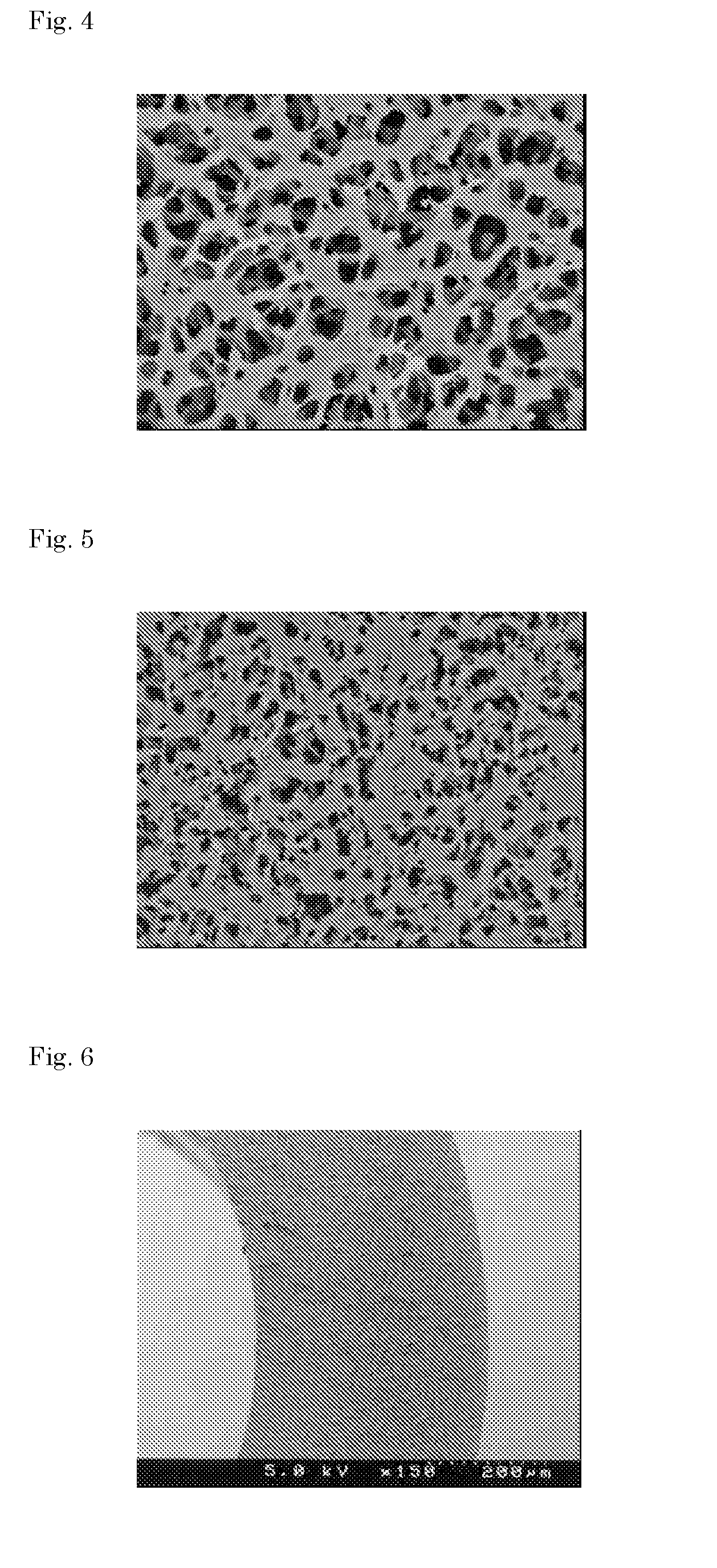 Hollow fiber membrane for treating liquids