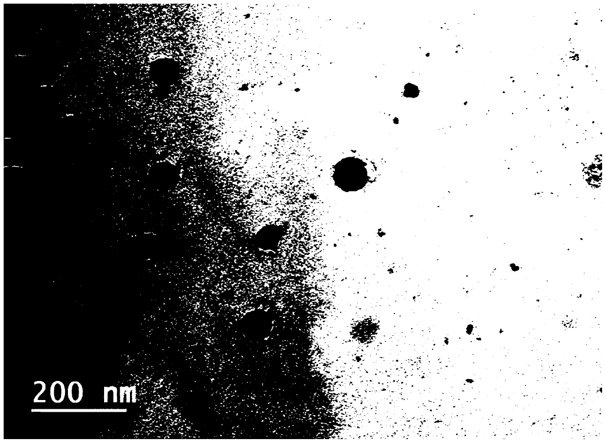 Nano particle capable of promoting tumor clotting and enzyme/pH dual responsive drug release and preparation method and application thereof