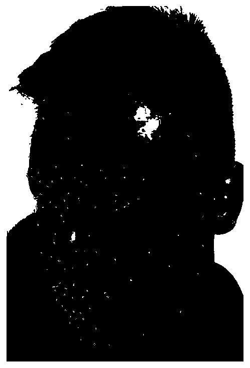 Three-dimensional face modeling and recognition method and device based on multi-angle two-dimensional faces