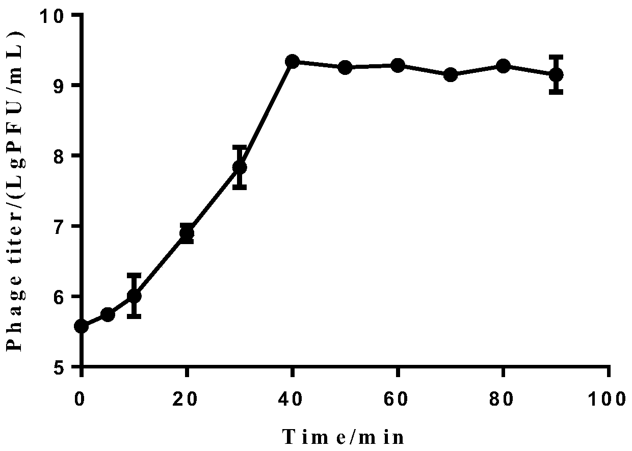 New klebsiella pneumoniae phage and application thereof