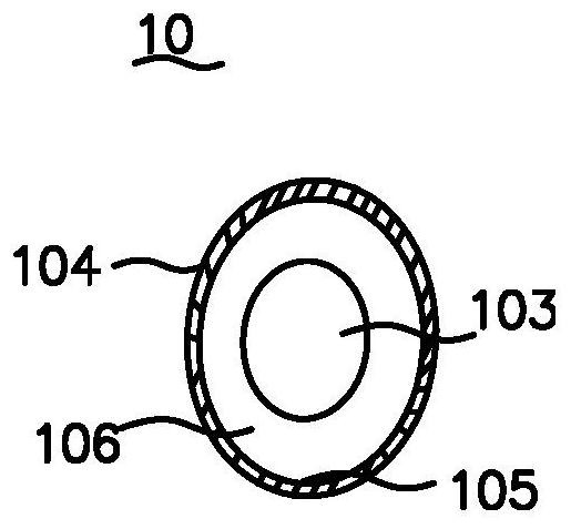 Earphone with in-ear detection function and in-ear detection method thereof