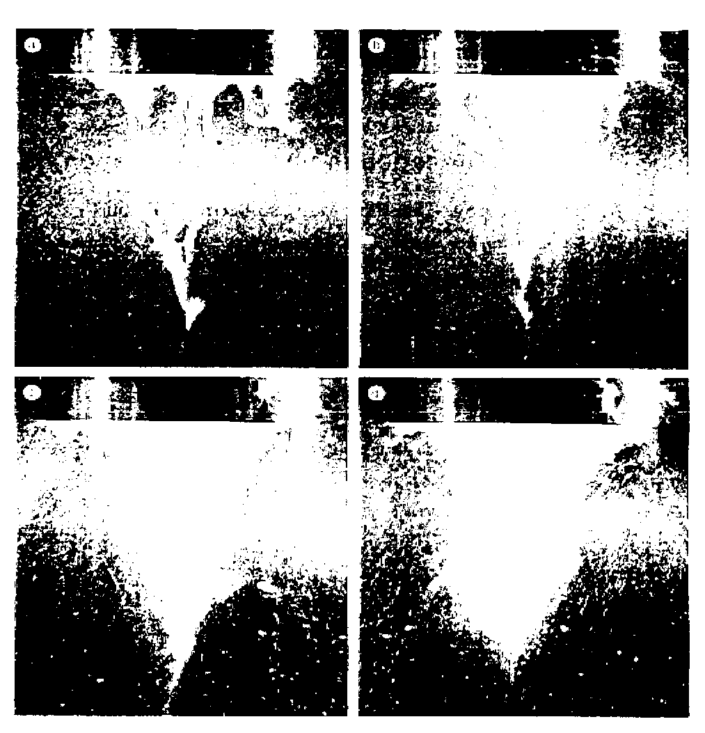 Acoustic cavitation device