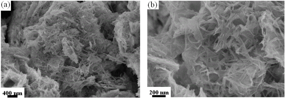 Moly-sulfide/cobaltosic oxide composite material and preparation method thereof, and application thereof