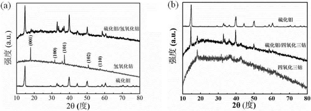 Moly-sulfide/cobaltosic oxide composite material and preparation method thereof, and application thereof