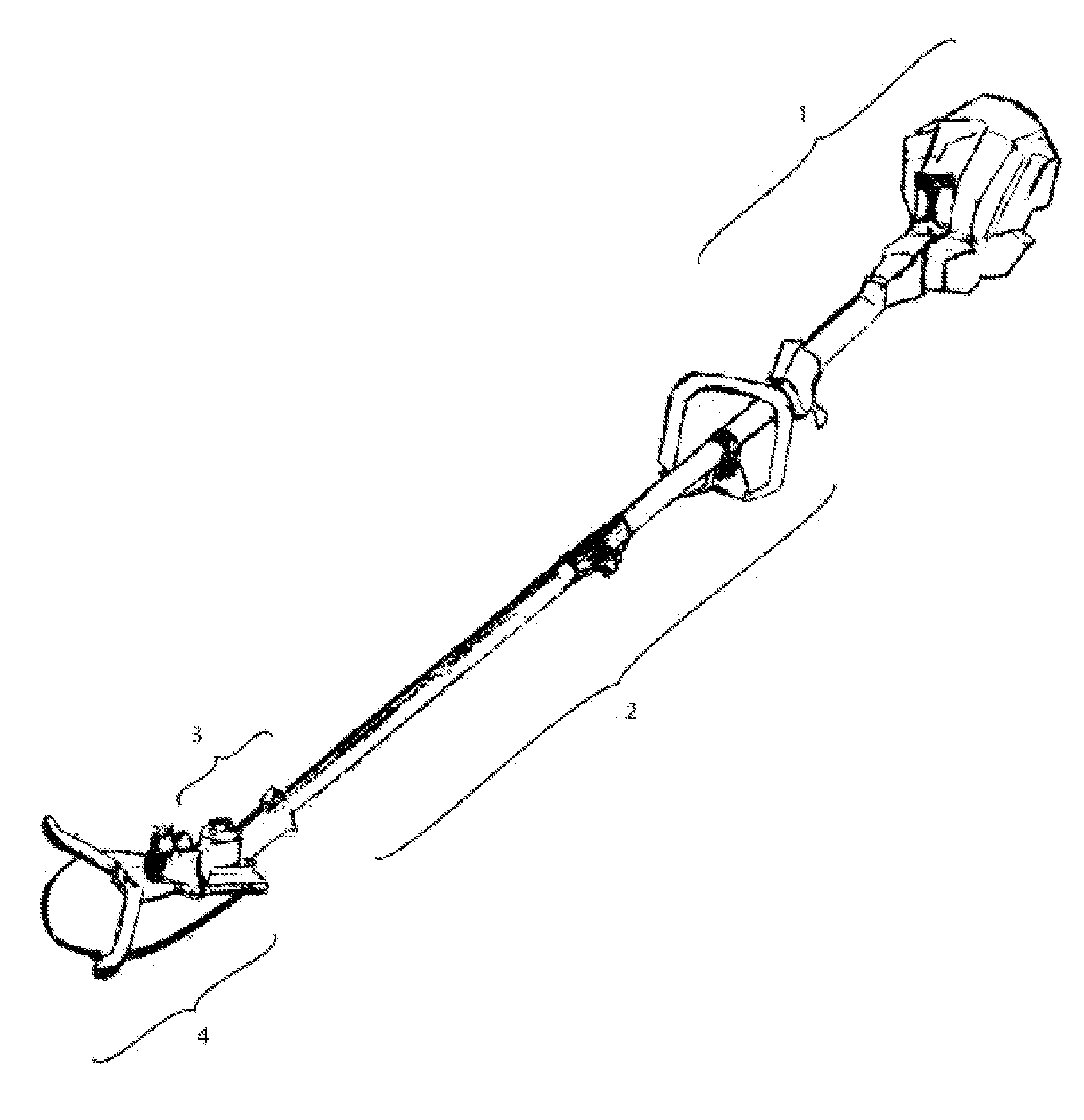 Chainsaw-type Brush Cutting Assembly