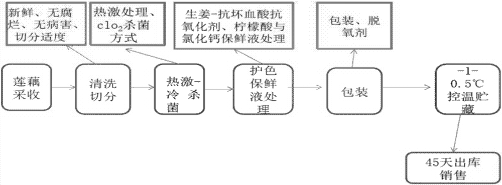 Lotus root storage method