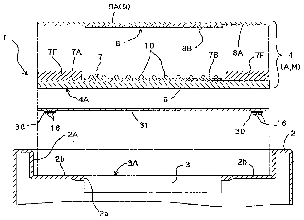 Electronic device having protection panel